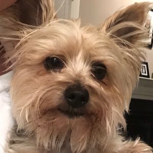 Meet your Posher, Tonya